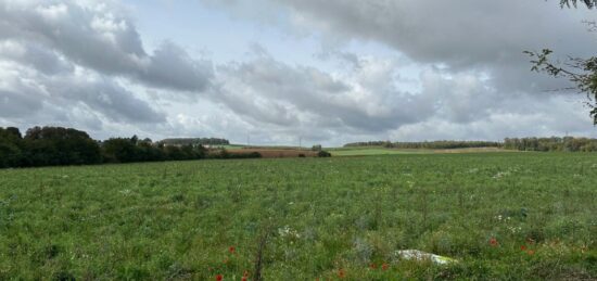 Terrain à bâtir à Rettel, Grand Est