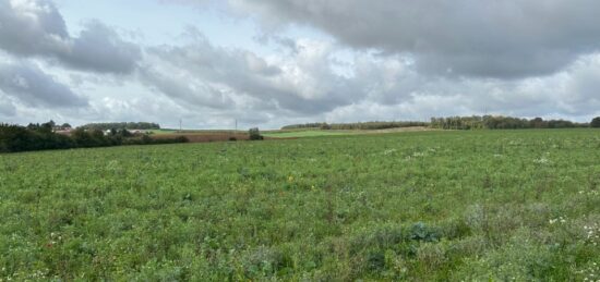 Terrain à bâtir à Russange, Grand Est